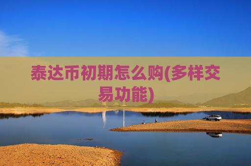 泰达币初期怎么购(多样交易功能)
