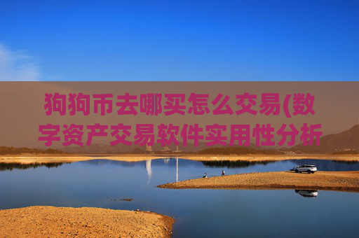 狗狗币去哪买怎么交易(数字资产交易软件实用性分析)