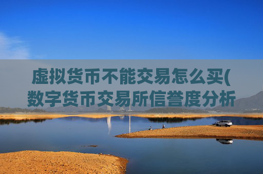 虚拟货币不能交易怎么买(数字货币交易所信誉度分析)