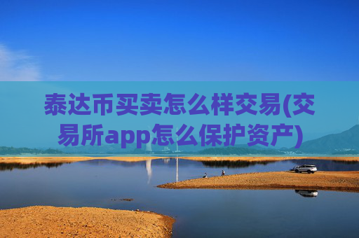 泰达币买卖怎么样交易(交易所app怎么保护资产)