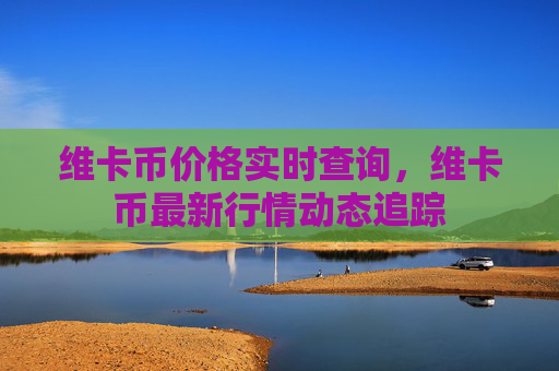 维卡币价格实时查询,维卡币最新行情动态追踪