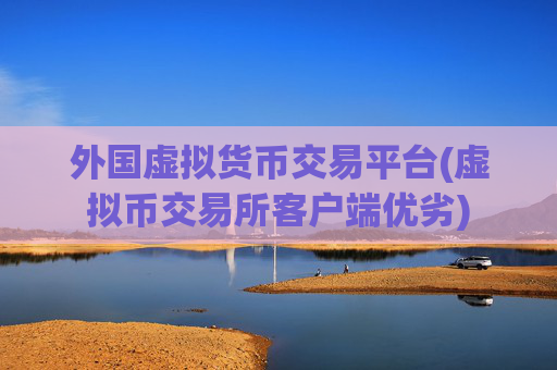外国虚拟货币交易平台(虚拟币交易所客户端优劣)