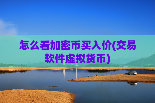 怎么看加密币买入价(交易软件虚拟货币)
