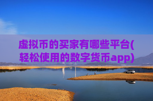 虚拟币的买家有哪些平台(轻松使用的数字货币app)