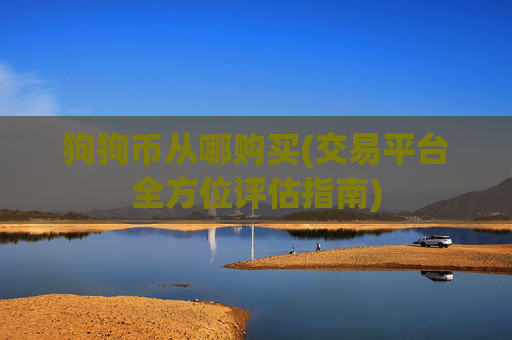 狗狗币从哪购买(交易平台全方位评估指南)
