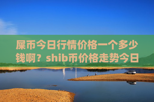 屎币今日行情价格一个多少钱啊?shib币价格走势今日分析(现价0.00022042元)