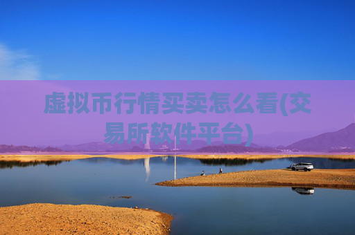 虚拟币行情买卖怎么看(交易所软件平台)