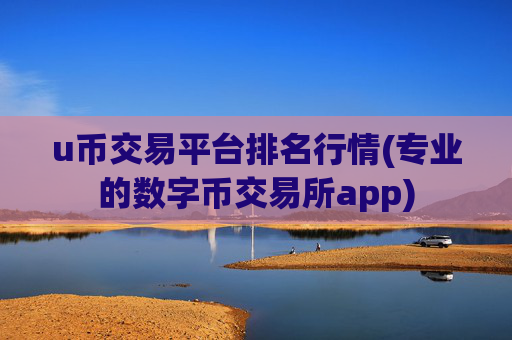 u币交易平台排名行情(专业的数字币交易所app)
