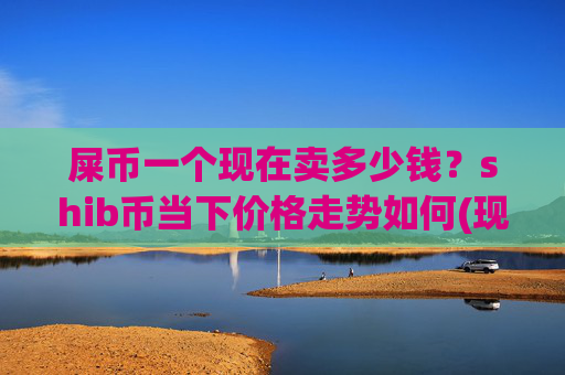 屎币一个现在卖多少钱？shib币当下价格走势如何(现价0.00015588元)
