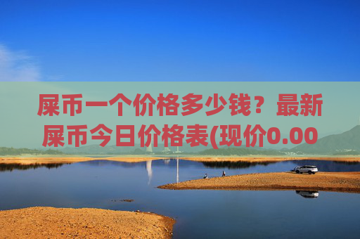 屎币一个价格多少钱?最新屎币今日价格表(现价0.00022122元)