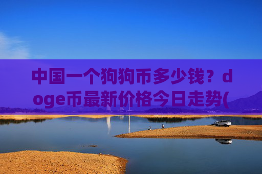 中国一个狗狗币多少钱?doge币最新价格今日走势(现价3.1085元)