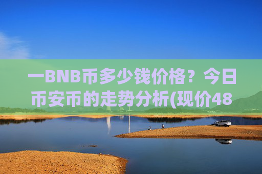 一BNB币多少钱价格?今日币安币的走势分析(现价4866.6元)