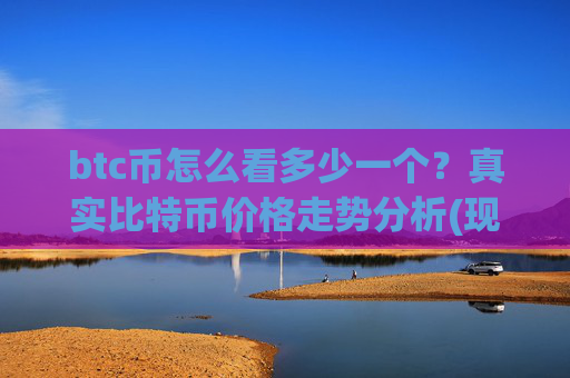 btc币怎么看多少一个?真实比特币价格走势分析(现价699030.14元)
