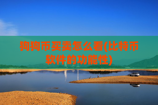 狗狗币买卖怎么看(比特币软件的功能性)