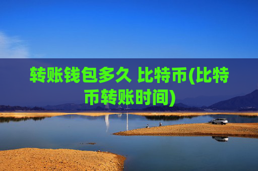 转账钱包多久 比特币(比特币转账时间)