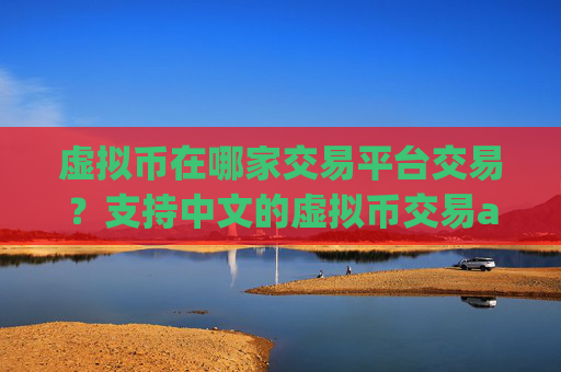 虚拟币在哪家交易平台交易?支持中文的虚拟币交易app