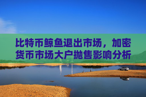 比特币鲸鱼退出市场,加密货币市场大户抛售影响分析
