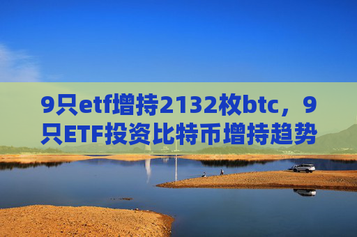 9只etf增持2132枚btc,9只ETF投资比特币增持趋势分析