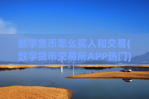 数字货币怎么买入和交易(数字货币交易所APP热门)
