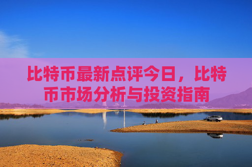 比特币最新点评今日,比特币市场分析与投资指南