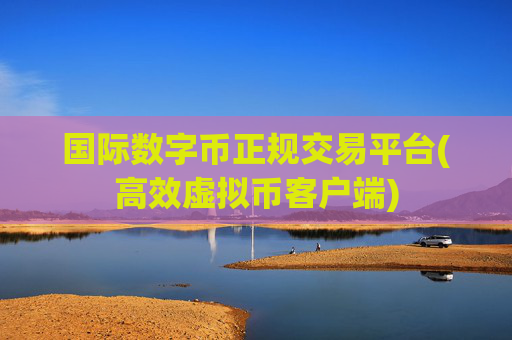 国际数字币正规交易平台(高效虚拟币客户端)