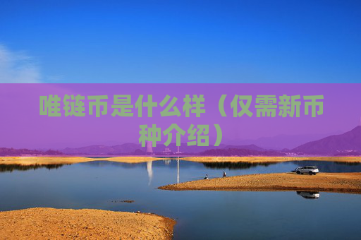 唯链币是什么样（仅需新币种介绍）