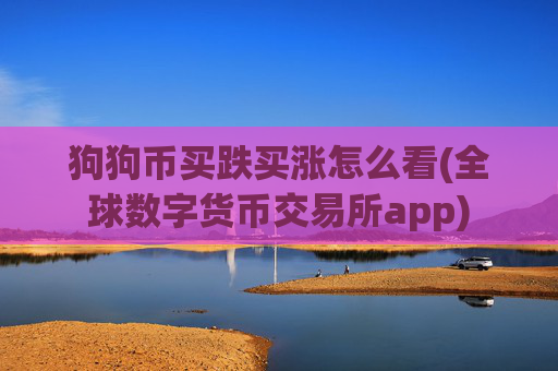 狗狗币买跌买涨怎么看(全球数字货币交易所app)