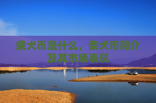 柴犬币是什么，柴犬币简介及其市场表现