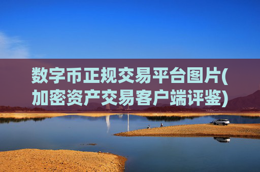 数字币正规交易平台图片(加密资产交易客户端评鉴)