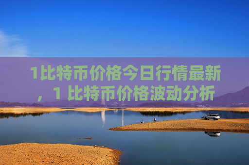 1比特币价格今日行情最新,1 比特币价格波动分析