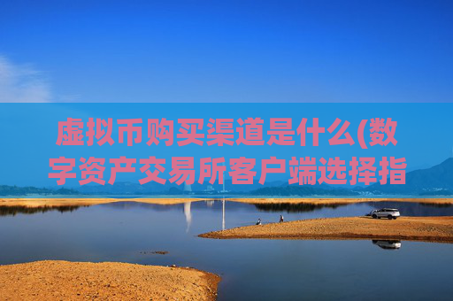 虚拟币购买渠道是什么(数字资产交易所客户端选择指南)