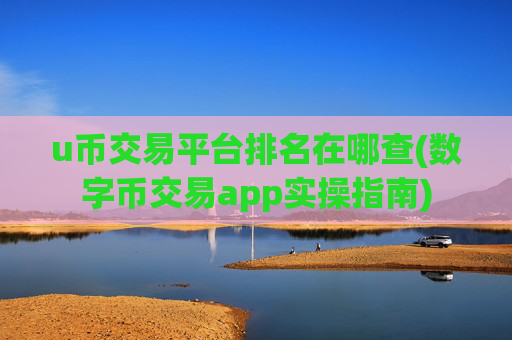 u币交易平台排名在哪查(数字币交易app实操指南)