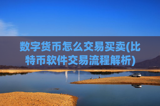 数字货币怎么交易买卖(比特币软件交易流程解析)