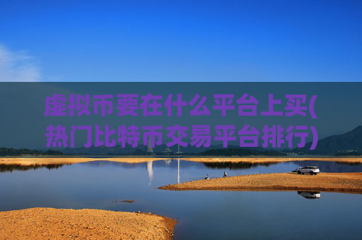 虚拟币要在什么平台上买(热门比特币交易平台排行)