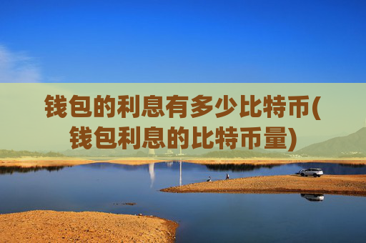 钱包的利息有多少比特币(钱包利息的比特币量)