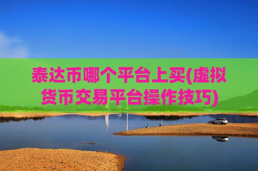 泰达币哪个平台上买(虚拟货币交易平台操作技巧)