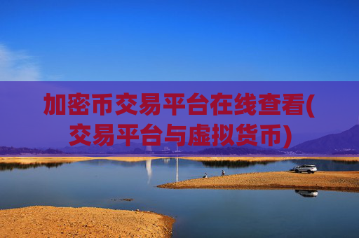 加密币交易平台在线查看(交易平台与虚拟货币)