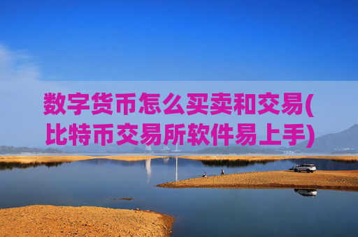 数字货币怎么买卖和交易(比特币交易所软件易上手)