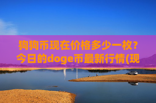 狗狗币现在价格多少一枚?今日的doge币最新行情(现价3.1289元)