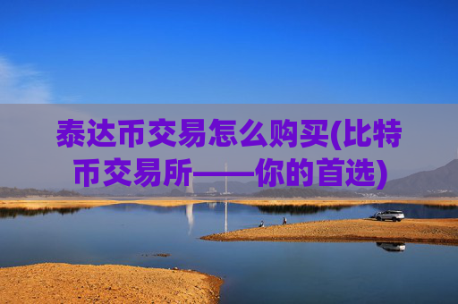 泰达币交易怎么购买(比特币交易所——你的首选)