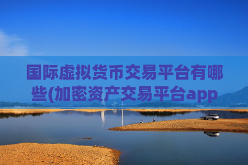 国际虚拟货币交易平台有哪些(加密资产交易平台app)