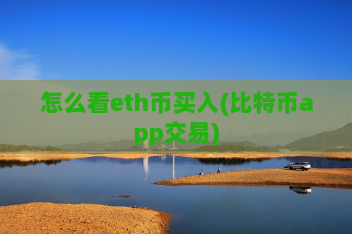 怎么看eth币买入(比特币app交易)