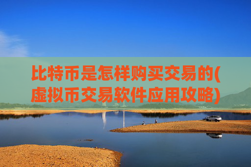 比特币是怎样购买交易的(虚拟币交易软件应用攻略)
