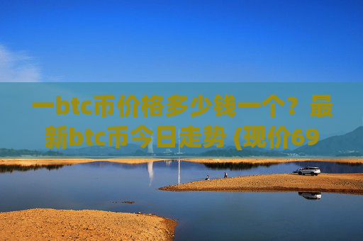 一btc币价格多少钱一个?最新btc币今日走势 (现价698533.86元)