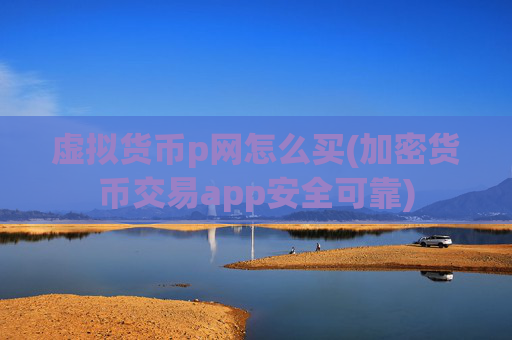 虚拟货币p网怎么买(加密货币交易app安全可靠)