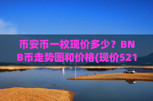币安币一枚现价多少?BNB币走势图和价格(现价5210.03元)