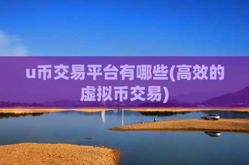 u币交易平台有哪些(高效的虚拟币交易)