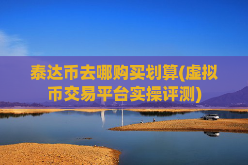 泰达币去哪购买划算(虚拟币交易平台实操评测)