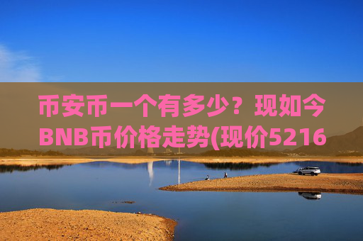 币安币一个有多少？现如今BNB币价格走势(现价5216.99元)