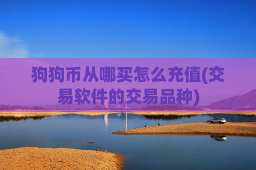狗狗币从哪买怎么充值(交易软件的交易品种)